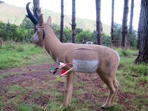 3d archery target with arrows.